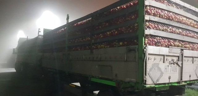 Inspektorzy Transportu Drogowego zatrzymali w Radomiu transporty jabłek.