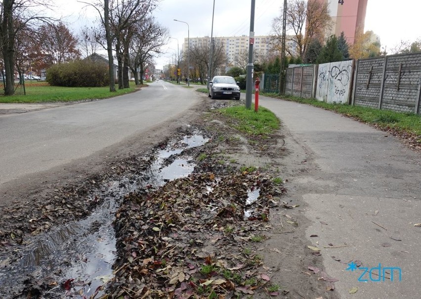 Na Grunwaldzie pojawią się nowe drzewa. Trwa przygotowanie...