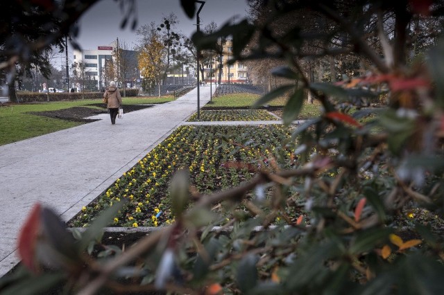 Już niedługo zakończą się prace związane z powstaniem Zielonej Bramy Gotyckiej Starówki. Zobaczcie jak bardzo zmieniło się otoczenie w rejonie CKK Jordanki i Muzeum Etnograficznego. 