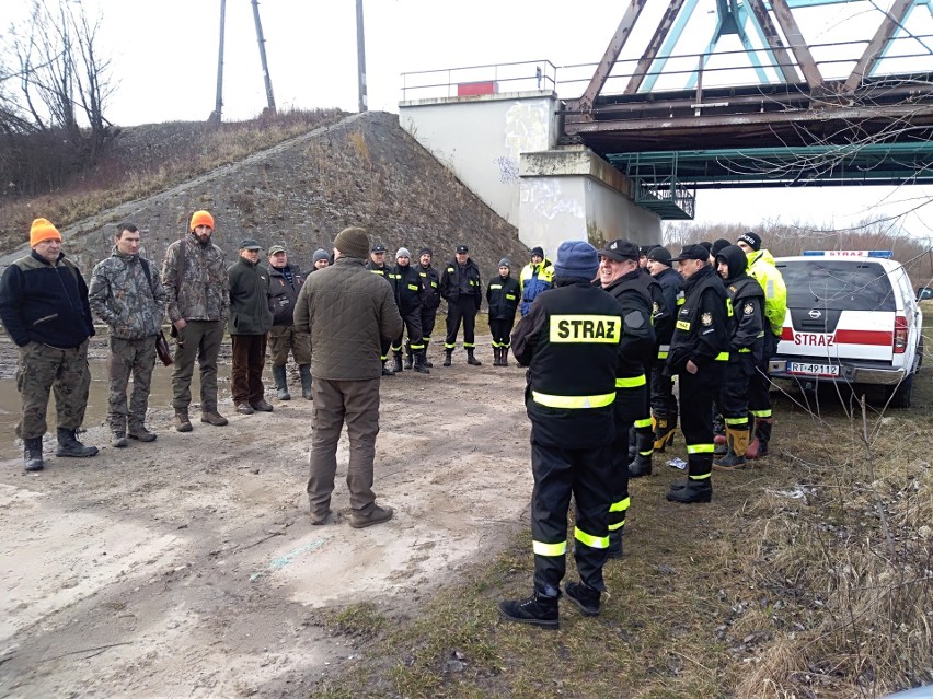 Dalszy ciąg walki z ASF w Tarnobrzegu i powiecie tarnobrzeskim. Szukali martwych dzików [ZDJĘCIA]