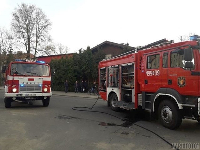 Kolizja na Opolskiej w Zawadzkiem. W piątek po godzinie...