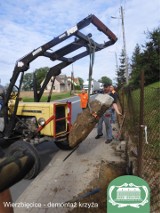 Krzyż pokutny z Wierzbięcic. Kierowca zniszczył, muzealnicy naprawili