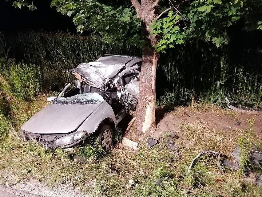 Śmiertelny wypadek w powiecie aleksandrowskim