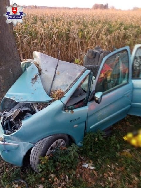 Samochód osobowy zderzył się z drzewem - pasażerka zginęła na miejscu