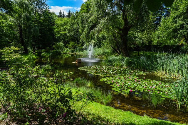 Pożegnanie lata odbędzie się 20 września w Ogrodzie Botanicznym UKW w Bydgoszczy.