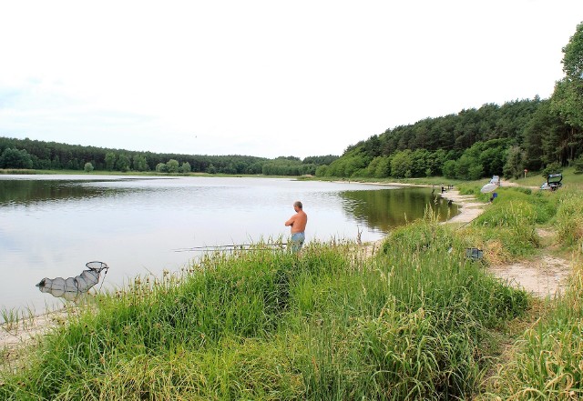 Jezioro Nowe w okolicach Suchatówki - to jeden z celów sobotniej wycieczki toruńskiego PTTK.