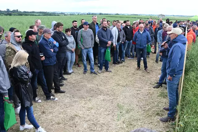 Mnóstwo rolników słuchało informacji specjalistów o odmianach pszenicy i rzepaku oraz warunkach, w jakich rosną podczas Dni Pola w Jałowęsach.