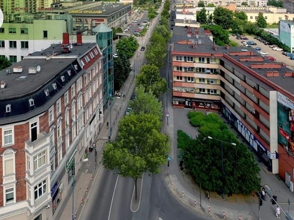 Opole. Na środku ulicy Ozimskiej ma być posadzony szpaler...