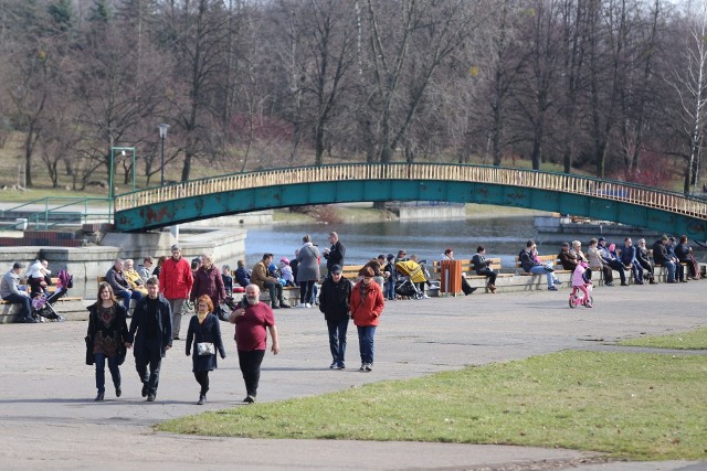 Park Śląski to najbardziej ulubione miejsce spacerów na Śląsku