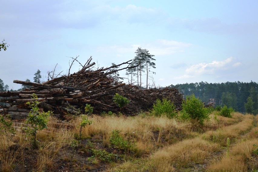 11 sierpnia mija piąta rocznica tragicznej nawałnicy, która...