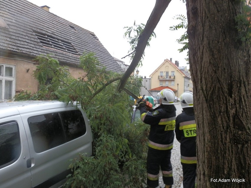 Gałąź spadła na samochody w Karlinie [zdjęcia]