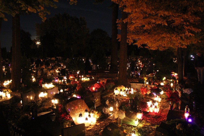 Piękne oświetlony cmentarz Osobowicki po zmroku