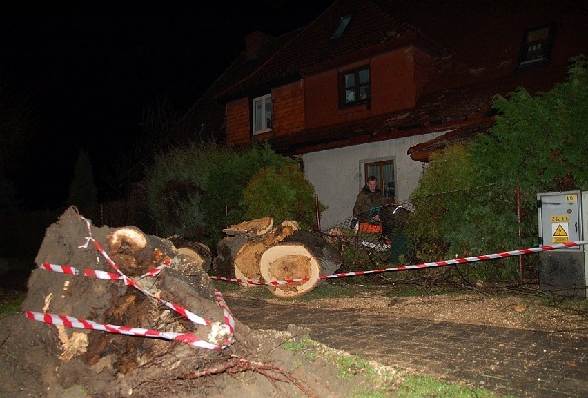 Kąty Wrocławskie, ul. Mirowskiego 16. Potężny spróchniały...