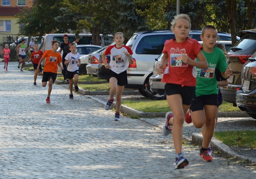 Prawie 250 biegaczy stanęło na starcie Krośnieńskiej...