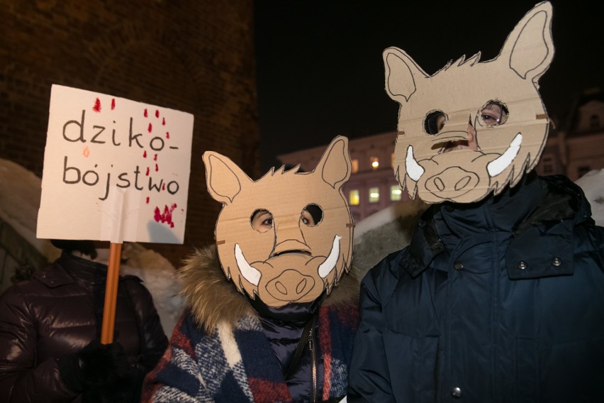 Dziki protest w obronie dzików w Krakowie. "Dzik czuje, tak...