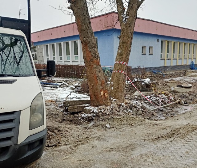 Drzewa mocno ucierpiały podczas budowy hali sportowej przy ul. Racławickiej 62