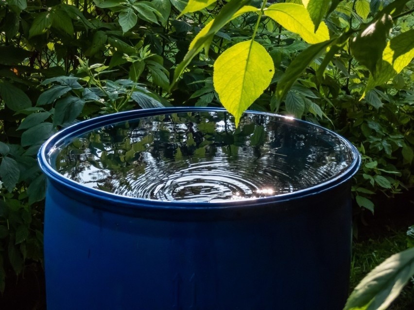 W ogrodach najłatwiejszym sposobem na odprowadzanie wody z...