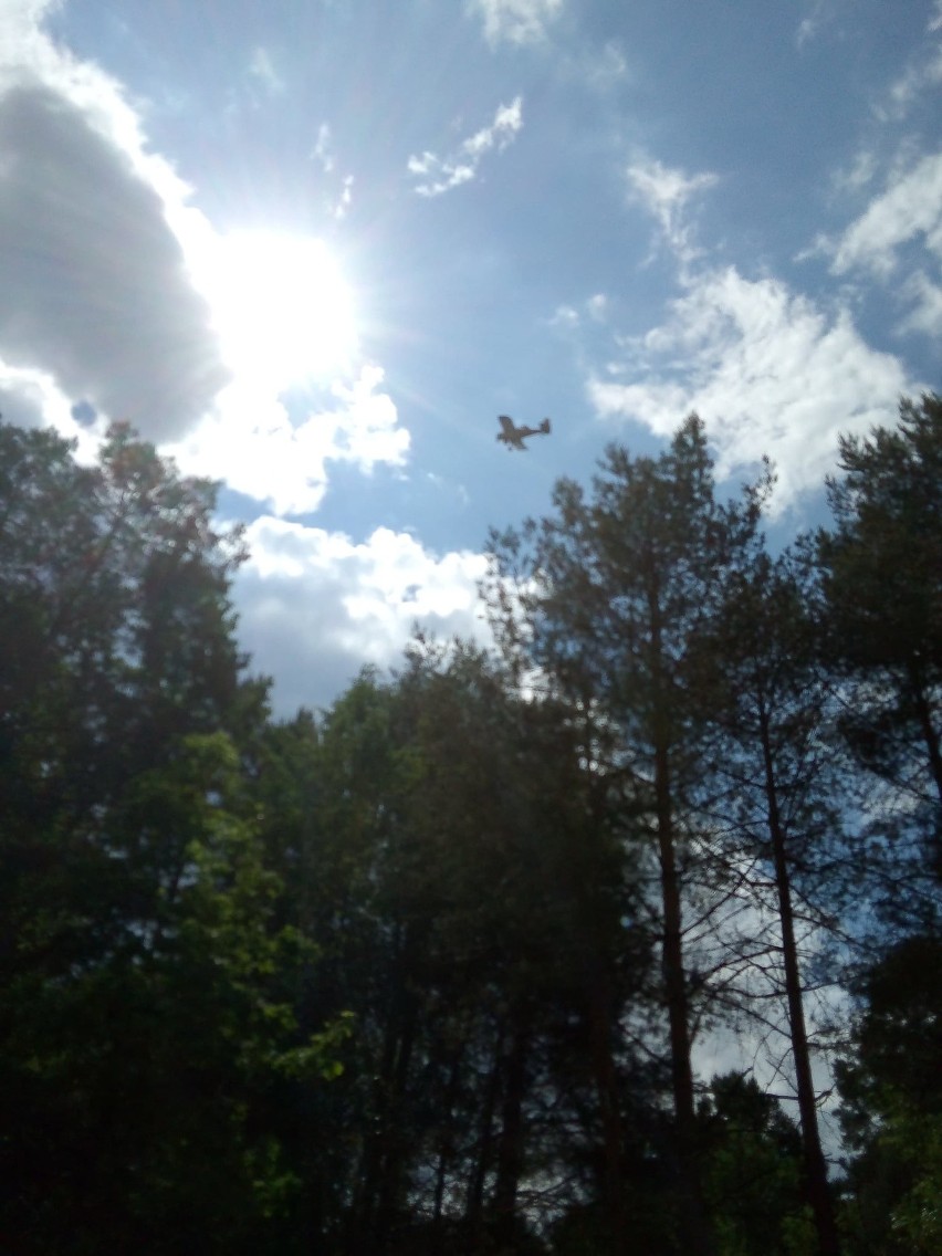 Duży pożar lasu w gminie Słupia Konecka. Samolot gaśniczy Dromader w akcji [ZDJĘCIA]