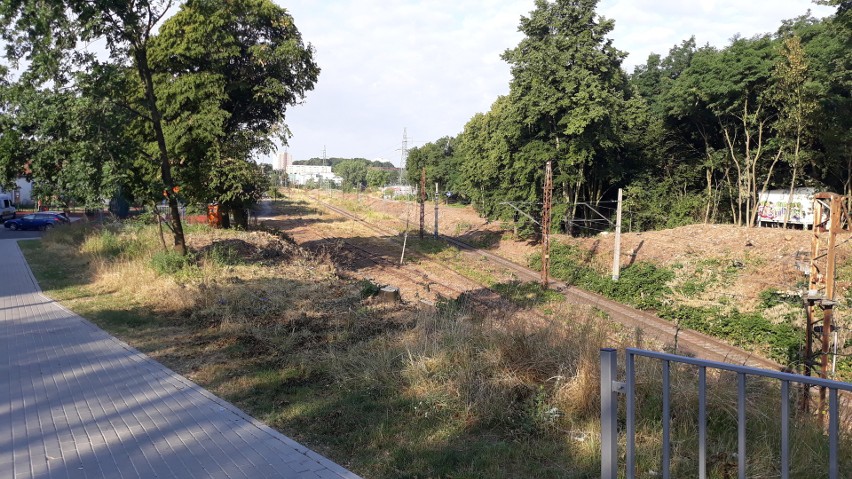 Zrobili wycinkę nad linią kolejową. Teraz zrobiło się łyso i głośniej  [ZDJĘCIA] 