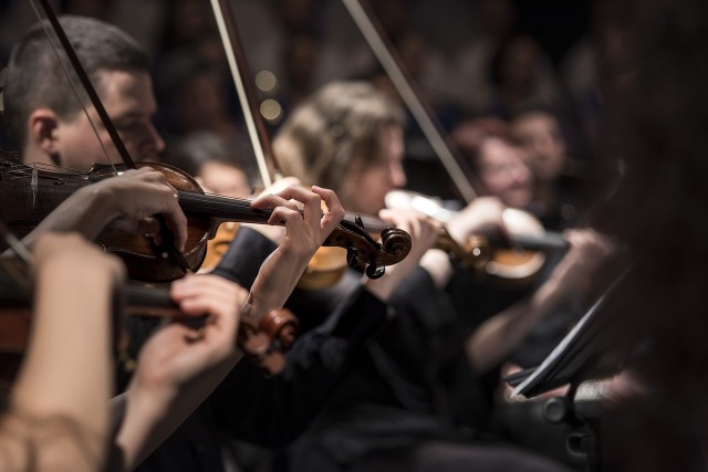 Zakup instrumentów dla orkiestr miejskich jest wynikiem dwuletnich starań miasta o uzyskanie dotacji ze środków rezerwy ogólnej budżetu państwa znajdujących się w dyspozycji Prezesa Rady Ministrów.