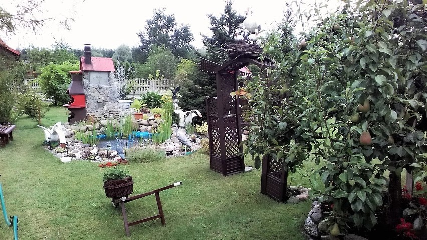 Zobaczcie ogród Agnieszki i Bogusława Markowskich 
