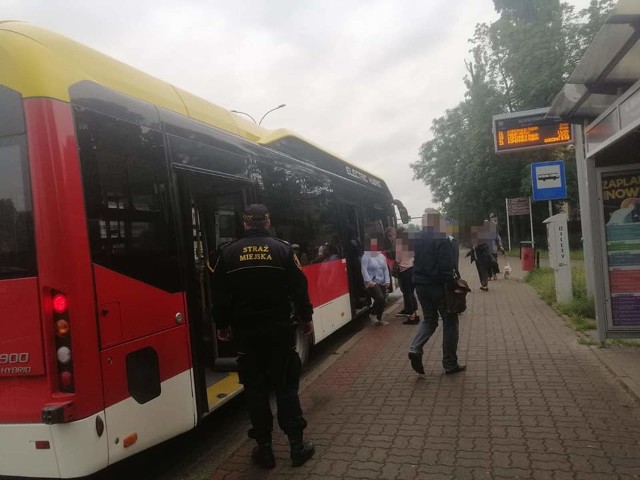 W środę (24 czerwca) strażnicy miejscy z Inowrocławia kontrolowali autobusy MPK. Sprawdzali, czy pasażerowie przestrzegają przepisów dotyczących obowiązku zakrywania ust i nosa w środkach komunikacji miejskiej.