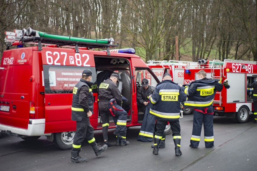 Uczestnikom akcji „Poszukiwania Michała Rosiaka” zapewniono...