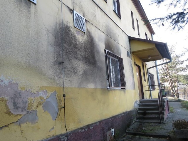 Opuszczone budynki starego szpitala w Wadowicach zamieniają się w ruinę