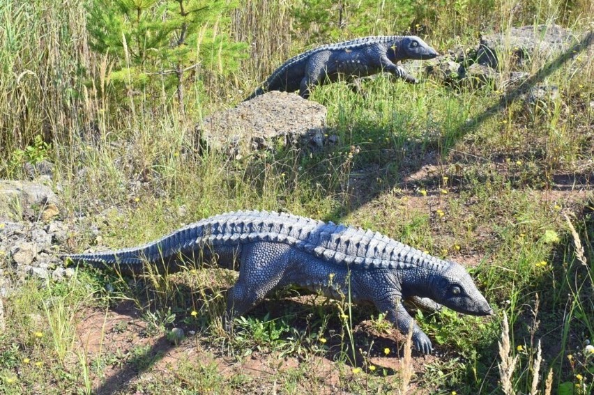 Figury aetozaurów w JuraParku w Krasiejowie