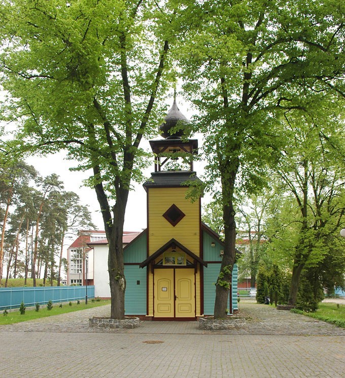 Zagłosuj! Piękno jest blisko