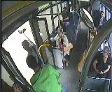 Pijany 19-latek z Lublina rzucał kociętami po autobusie. Dla zabawy