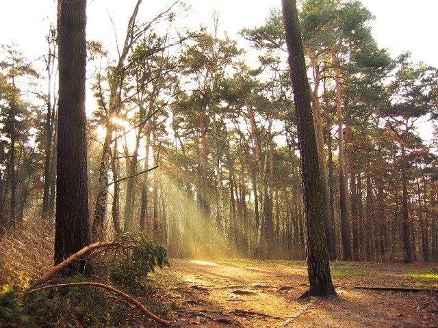 Górale mówią, że od czwartku ma być lepiej, że wyjrzy słońce. W tym cała nadzieja.