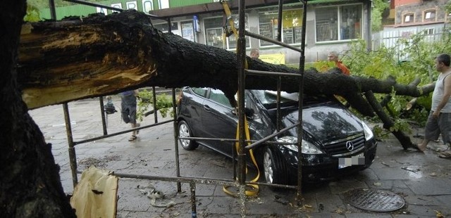 Drzewu runęło na auto w Słupsku