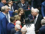 Czy Ślązak zrobi polityczną karierę? Rozwiąż test polityczny po śląsku dla prezesa Kaczyńskiego