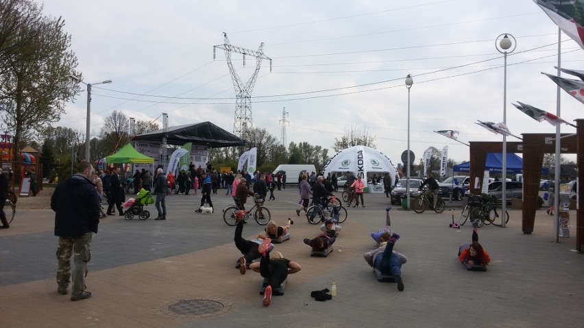 Dębowy Maj Festiwal nad Pogorią