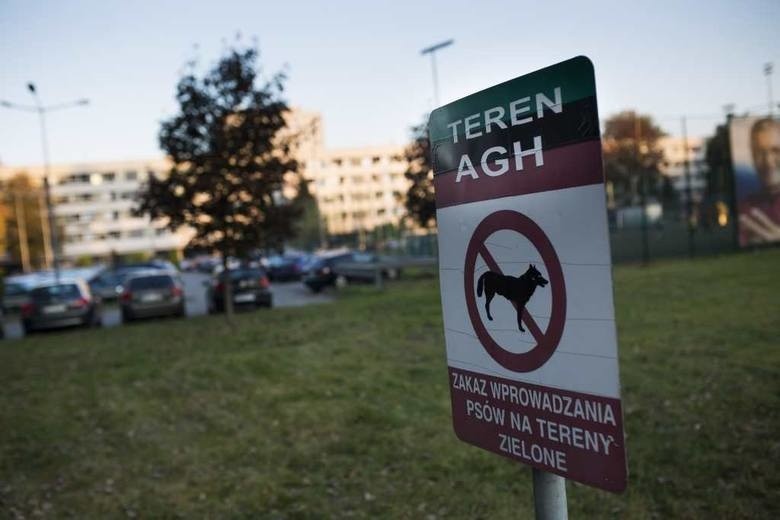 Koronawirus w Krakowie. Koniec z imprezami na Miasteczku Studenckim AGH. Obowiązuje zakaz zgromadzeń