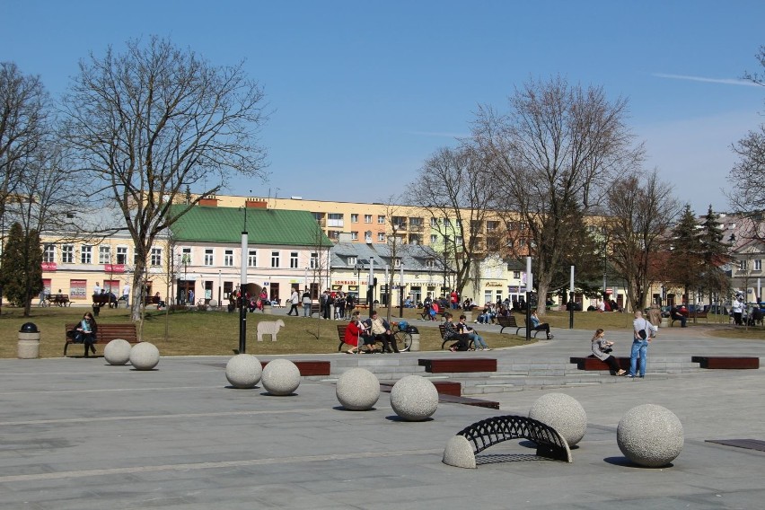 82 proc. uczniów z Suwałk zdało maturę. W tym 100 proc. z...