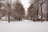 Bajkowa zima w Parku Etnograficznym w Tokarni. Zobacz przepiękne zdjęcia