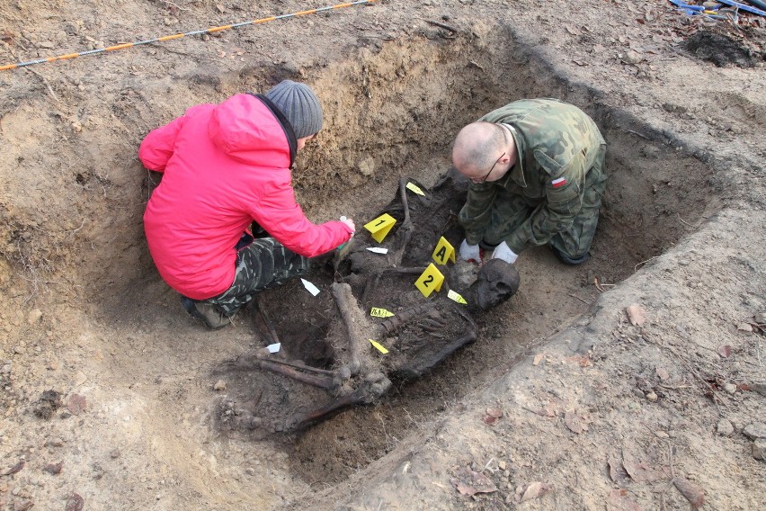 W lesie odkryli szczątki rozstrzelanych (WIDEO, zdjęcia)
