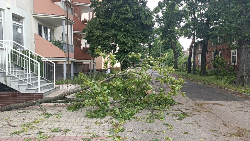 Strażacy z Toruniu i pobliskich terenów wyjeżdżali około 100...