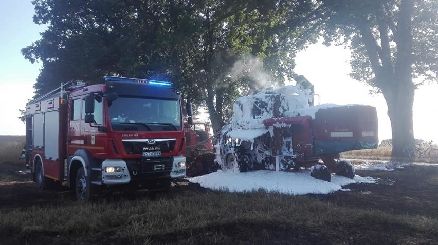 Gmina Chociwel. Palił się kombajn i zboże na pniu. Ponad 40 strażaków w akcji [ZDJĘCIA]