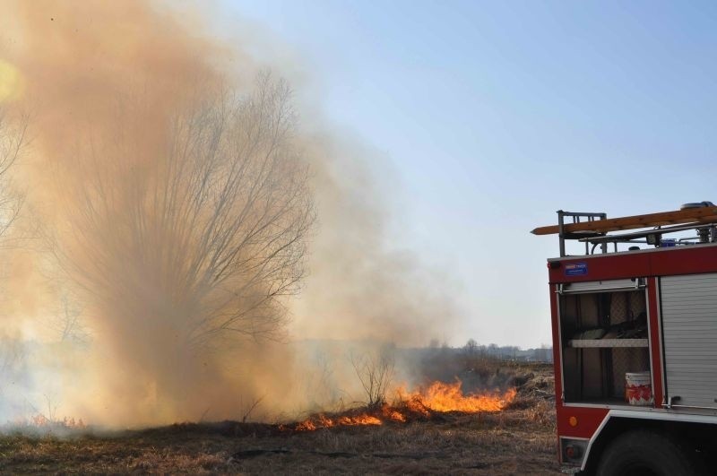 Nie wypalajmy traw! Apel buskiej Straży Pożarnej