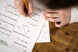 Czy jesteś dobrze przygotowany do egzaminu ósmoklasisty z matematyki? Rozwiąż quiz