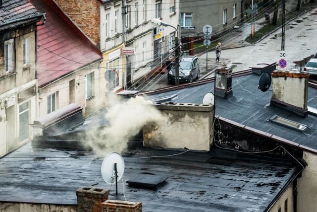 - W 2018 roku Bydgoszcz była drugim miastem wojewódzkim, zaraz po Krakowie, pod względem liczby dni z alarmującymi przekroczeniami pyłu zawieszonego pm 10 - argumentuje radna Joanna Czerska-Thomas.