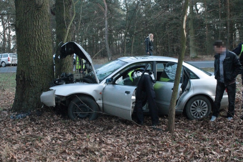 Audi wylądowało na drzewie