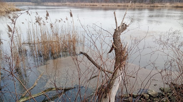 - Woda jest mętna i matowa, cała linia brzegowa jest chyba zanieczyszczona. Po raz kolejny - pisze czytelnik w mailu (nazwisko do wiadomości redakcji).