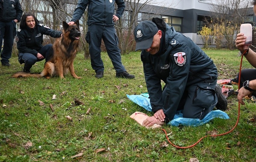 Szkolenie z udzielania pierwszej pomocy psom służbowym.