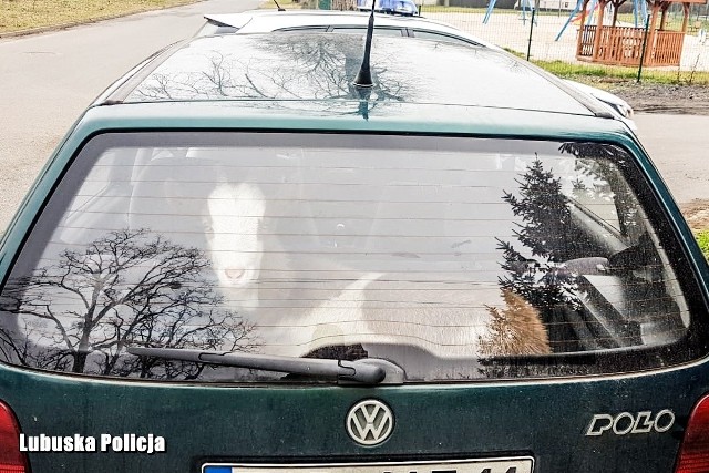 Fot. Policja.pl