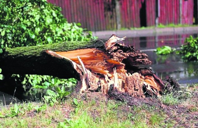 Największe zniszczenia poniedziałkowa nawałnica zrobiła w gminie Zaklików i Radomyśl nad Sanem.