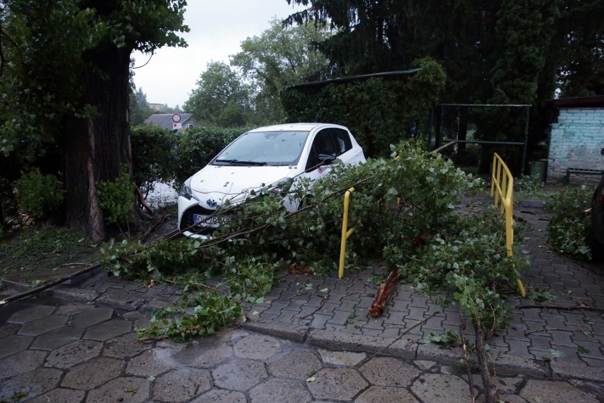 Pogodowy armagedon w Lublinie i okolicach. Strażacy cały czas pracują, aby drogi były przejezdne. Zobacz